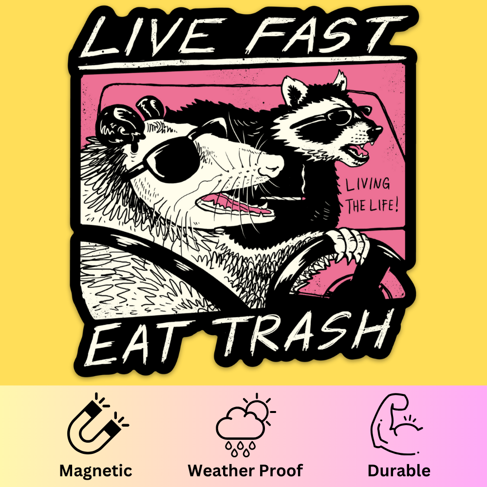 'Live Fast, Eat Trash' Bumper Magnet